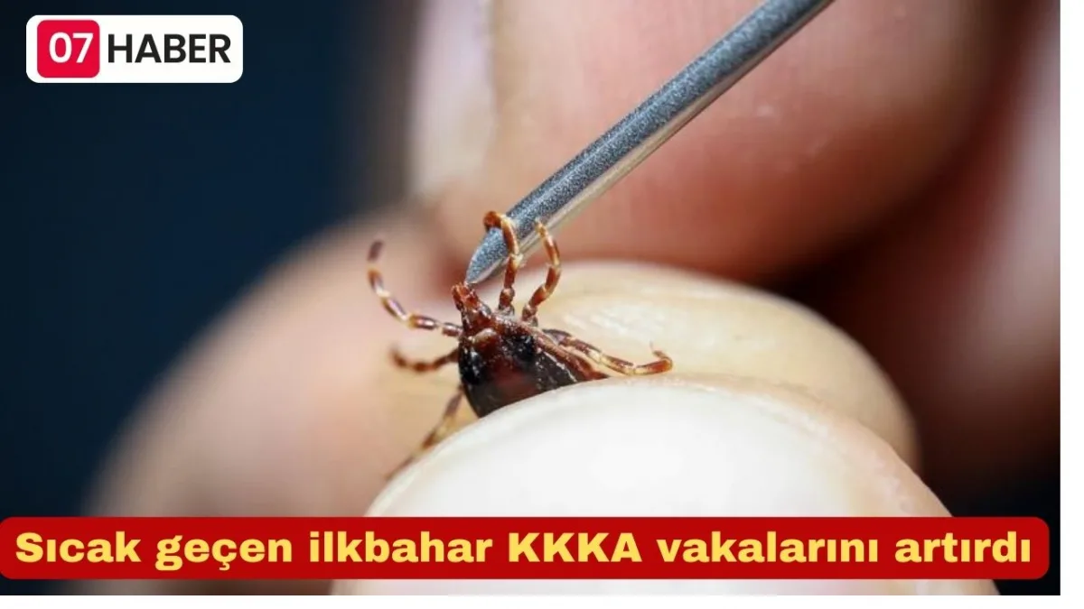 Sıcak geçen ilkbahar KKKA vakalarını artırdı