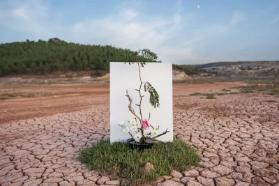 Üniversitelerden COP31’e akademik ilgi: 3 bin 373 başvuru