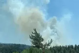 Balıkesir ve Bolu’da orman yangınları: Ekiplerin müdahalesi sürüyor